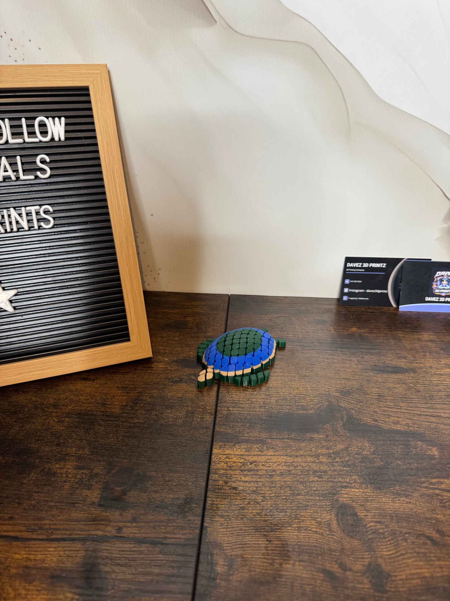 Sensory Turtle Fidget Toy